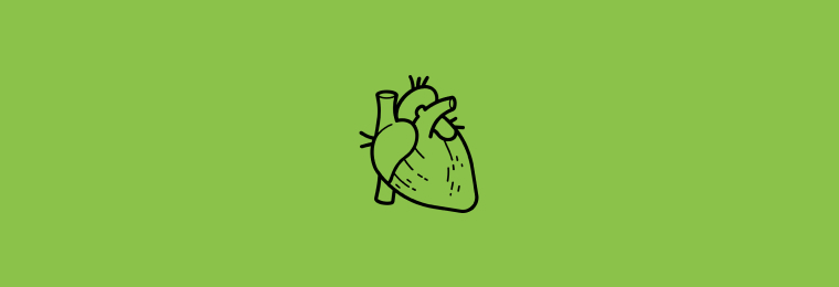 Anatomia do coração